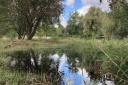 Lea Valley wetlands restored