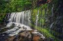 There is a region of the Bannau Brycheiniog (Brecon Beacons) National Park that has become known as 'Waterfall Country'.