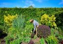 The groups would like the controversial pesticide to be banned in Havering.