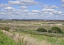 This Saturday offers a chance for children to learn about some of the 150 species of birds living in Rainham Marshes