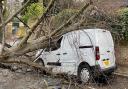 A tree down on a parked van in Millfield Lane, by Hampstead Heath.