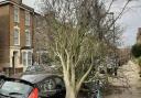 Storm Eunice caused a tree to fall on a car on Wilberforce Rd at Mountgrove Road