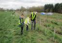 More trees are to be planted at Thames Chase.