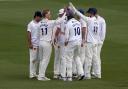 Essex players celebrate a wicket at Kent