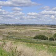 This Saturday offers a chance for children to learn about some of the 150 species of birds living in Rainham Marshes