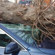 A car was crushed during Storm Eunice in Cranham Road, Hornchurch