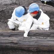 Archaeologists unearth prehistoric yew tree dugout at Beam Park