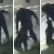 A domestic CCTV camera captured man appearing to whip a dog with its lead, hitting it and then hoisting it in the air by its throat