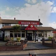 The Beacon Tree in Green Lane is set to reopen later this month