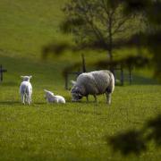 Opposition MPs have called on the Government to reverse the ‘devastating’ change to farmers’ inheritance tax (Steve Parsons/PA)