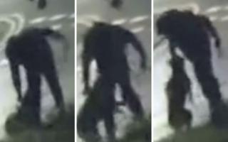 A domestic CCTV camera captured man appearing to whip a dog with its lead, hitting it and then hoisting it in the air by its throat