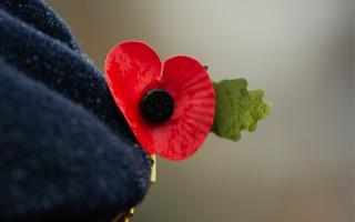 A Remembrance poppy pin