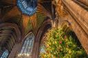 The Christmas tree switched on inside Ely Cathedral last year