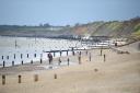 Dog walkers out exercising on Gorleston beach