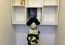 Detection dog sniffs out illicit cigarettes hidden in shop cupboard