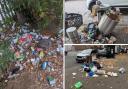 Pictures of rubbish sent by Dirty Dagenham members