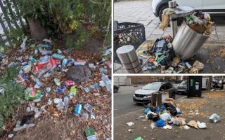 Pictures of rubbish sent by Dirty Dagenham members